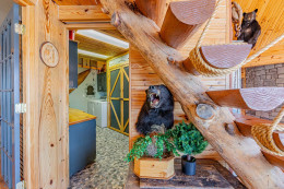 vacation-home-loch-lomond-arkansas-7